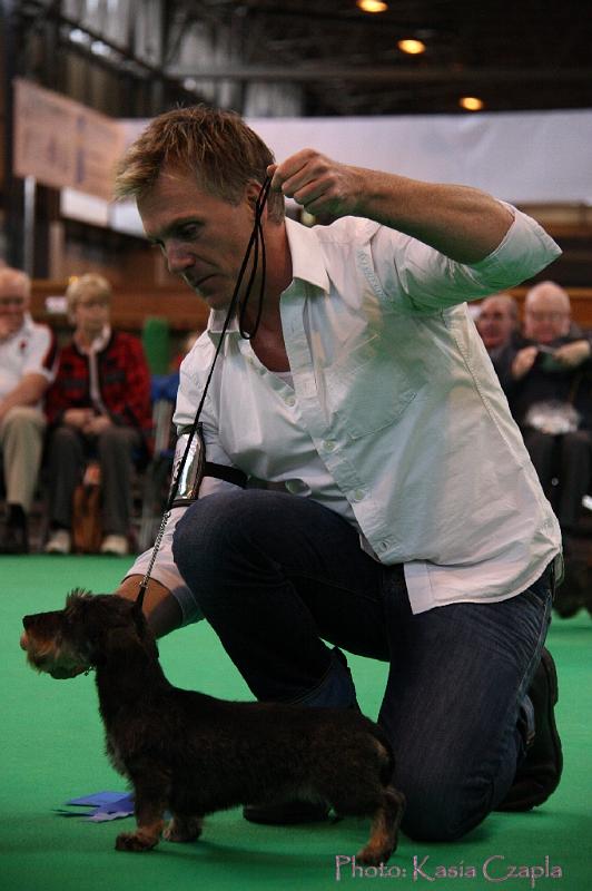 Crufts2011_2 1265.jpg